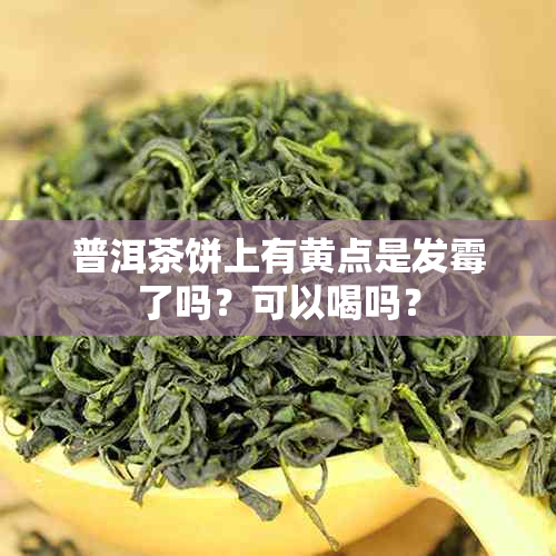 普洱茶饼上有黄点是发霉了吗？可以喝吗？