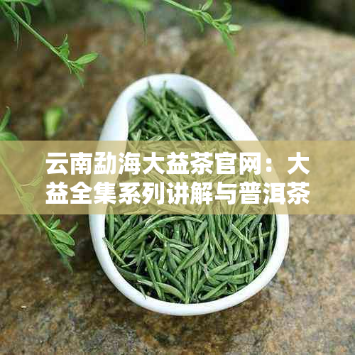 云南勐海大益茶官网：大益全集系列讲解与普洱茶价格解析