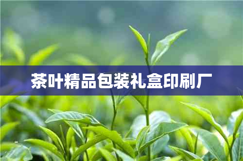 茶叶精品包装礼盒印刷厂