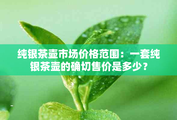 纯银茶壶市场价格范围：一套纯银茶壶的确切售价是多少？