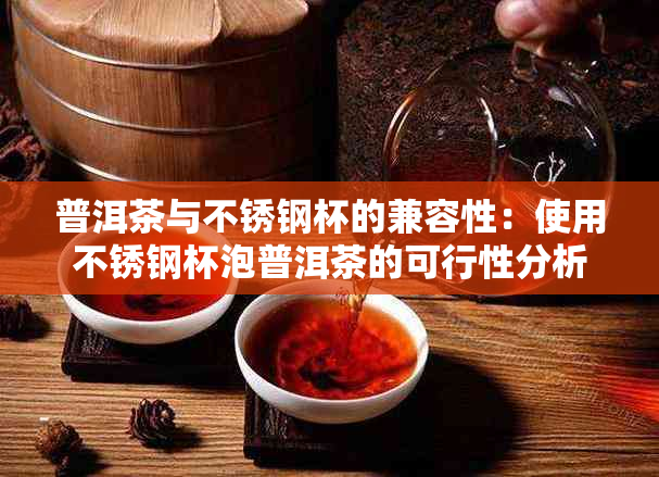 普洱茶与不锈钢杯的兼容性：使用不锈钢杯泡普洱茶的可行性分析