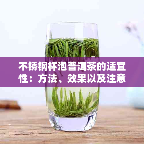 不锈钢杯泡普洱茶的适宜性：方法、效果以及注意事项全解析