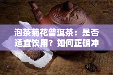 泡茶菊花普洱茶：是否适宜饮用？如何正确冲泡与品饮？