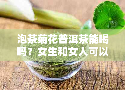 泡茶菊花普洱茶能喝吗？女生和女人可以喝吗？有什么好处？