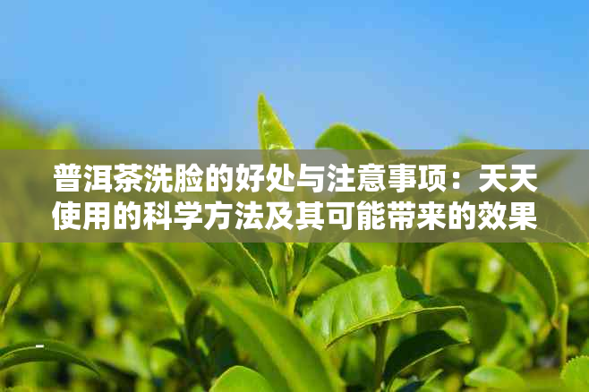 普洱茶洗脸的好处与注意事项：天天使用的科学方法及其可能带来的效果