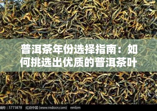 普洱茶年份选择指南：如何挑选出优质的普洱茶叶？