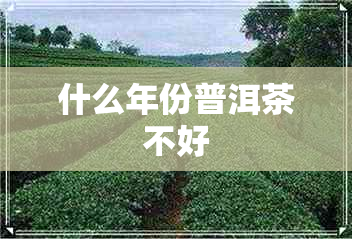 什么年份普洱茶不好