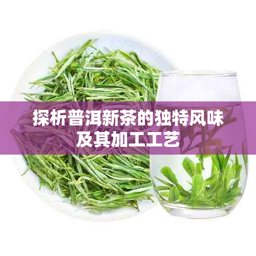 探析普洱新茶的独特风味及其加工工艺