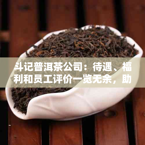 斗记普洱茶公司：待遇、福利和员工评价一览无余，助您全面了解这家公司