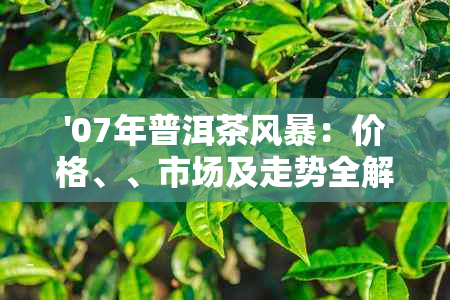 '07年普洱茶风暴：价格、、市场及走势全解析'