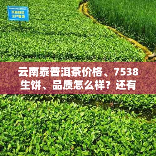 云南泰普洱茶价格、7538生饼、品质怎么样？还有8588和7548。