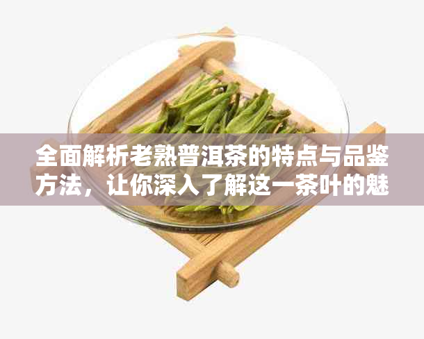 全面解析老熟普洱茶的特点与品鉴方法，让你深入了解这一茶叶的魅力所在