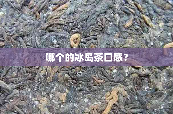 哪个的冰岛茶口感？