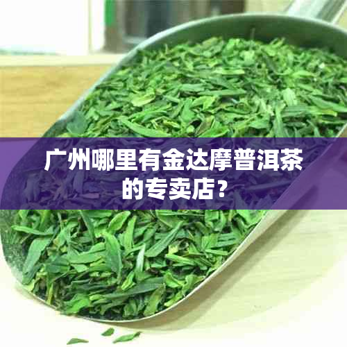 广州哪里有金达摩普洱茶的专卖店？