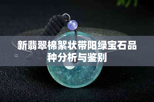 新翡翠棉絮状带阳绿宝石品种分析与鉴别