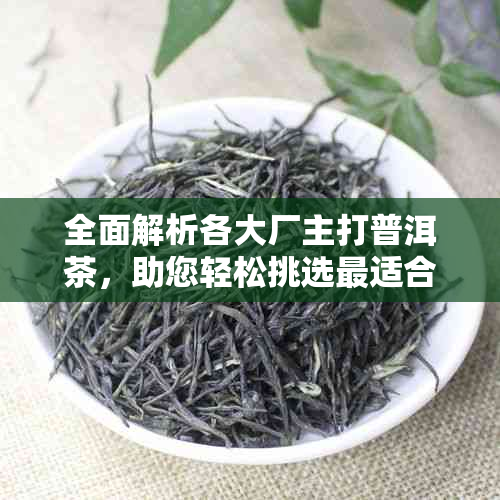 全面解析各大厂主打普洱茶，助您轻松挑选最适合的茶叶