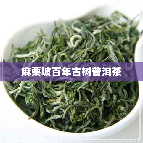 麻栗坡百年古树普洱茶