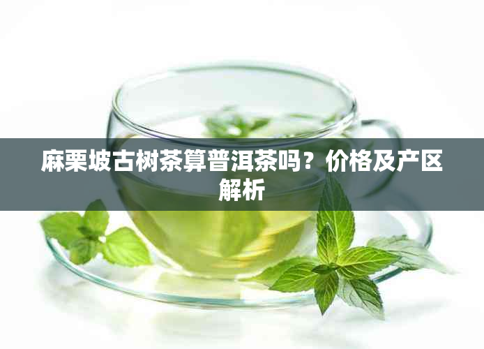 麻栗坡古树茶算普洱茶吗？价格及产区解析