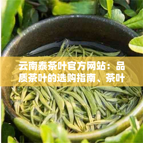 云南泰茶叶官方网站：品质茶叶的选购指南、茶叶种类与冲泡方法全方位解析