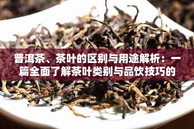 普洱茶、茶叶的区别与用途解析：一篇全面了解茶叶类别与品饮技巧的文章