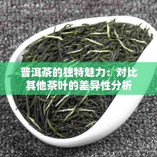 普洱茶的独特魅力：对比其他茶叶的差异性分析