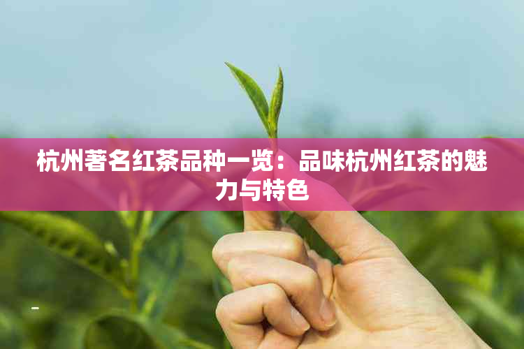 杭州著名红茶品种一览：品味杭州红茶的魅力与特色