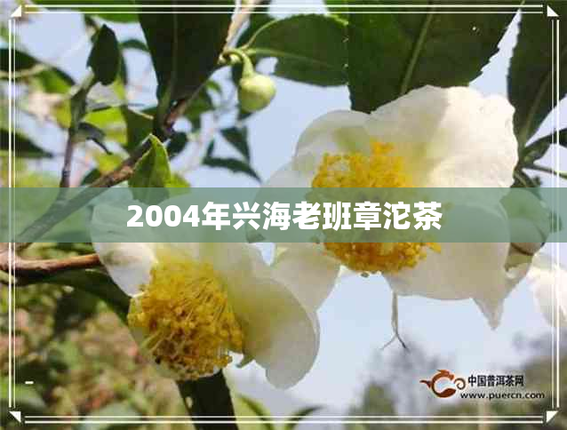 2004年兴海老班章沱茶