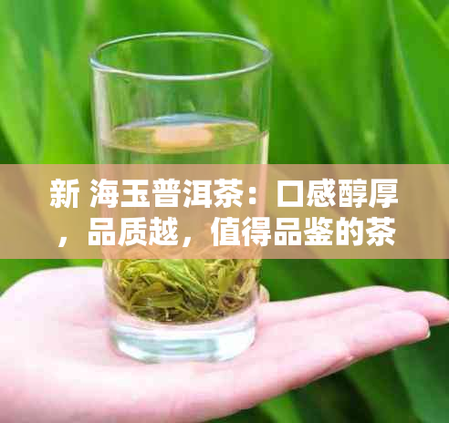 新 海玉普洱茶：口感醇厚，品质越，值得品鉴的茶叶全解析