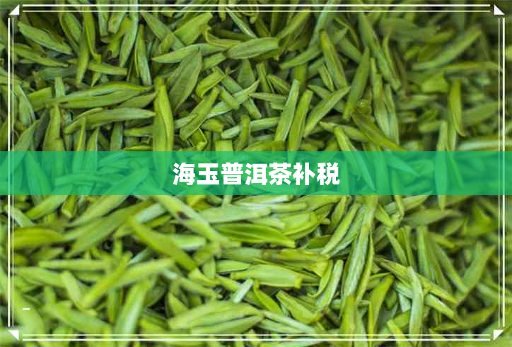 海玉普洱茶补税