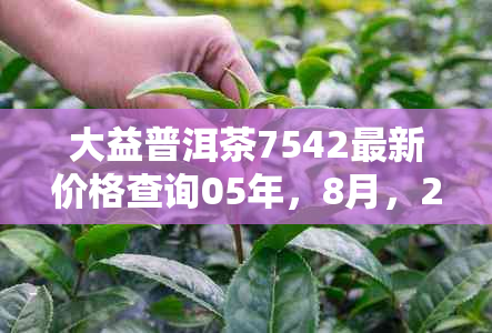 大益普洱茶7542最新价格查询05年，8月，2008:一款值得收藏的茶叶！