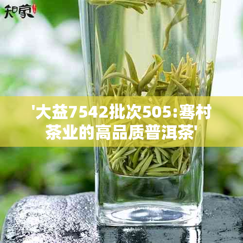 '大益7542批次505:骞村茶业的高品质普洱茶'