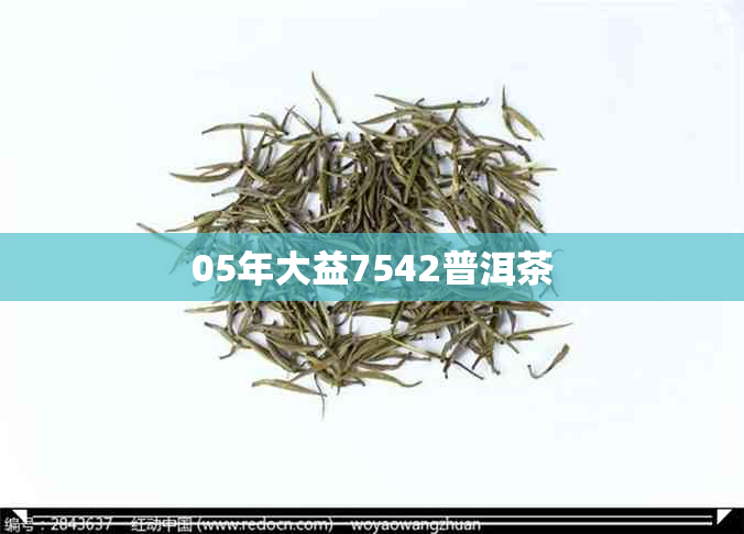 05年大益7542普洱茶