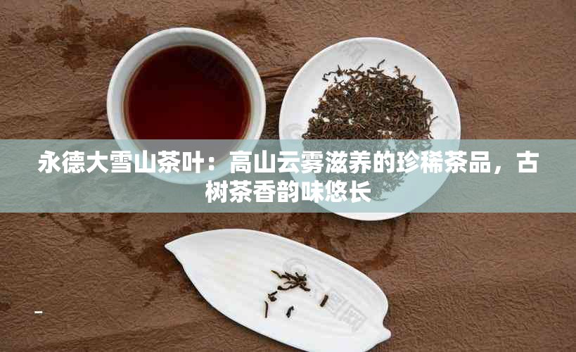 永德大雪山茶叶：高山云雾滋养的珍稀茶品，古树茶香韵味悠长