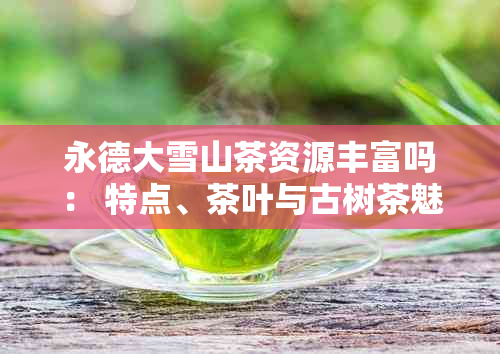 永德大雪山茶资源丰富吗： 特点、茶叶与古树茶魅力解析及价格行情