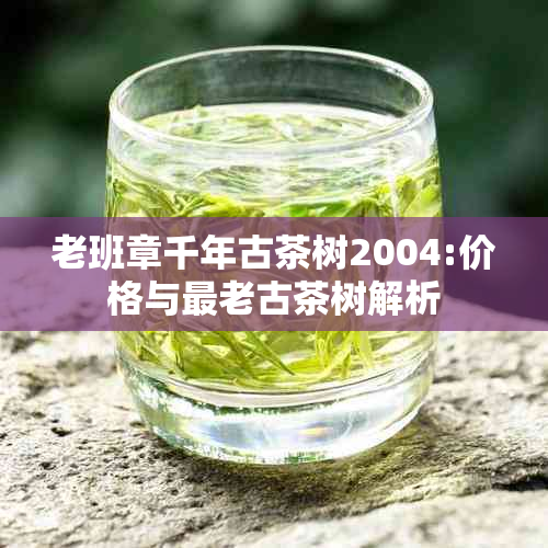 老班章千年古茶树2004:价格与最老古茶树解析