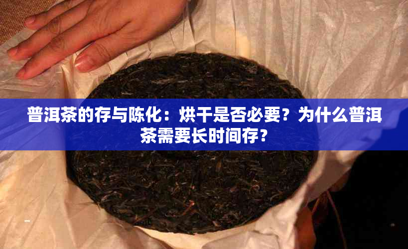 普洱茶的存与陈化：烘干是否必要？为什么普洱茶需要长时间存？