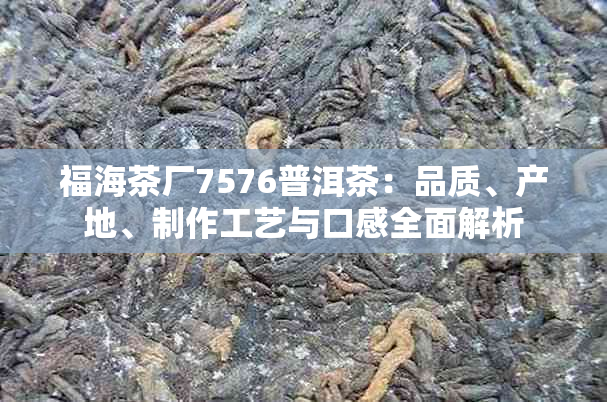 福海茶厂7576普洱茶：品质、产地、制作工艺与口感全面解析