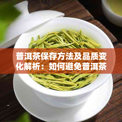 普洱茶保存方法及品质变化解析：如何避免普洱茶变质？