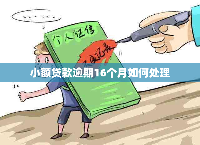 小额贷款逾期16个月如何处理