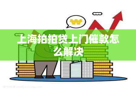 上海拍拍贷上门催款怎么解决