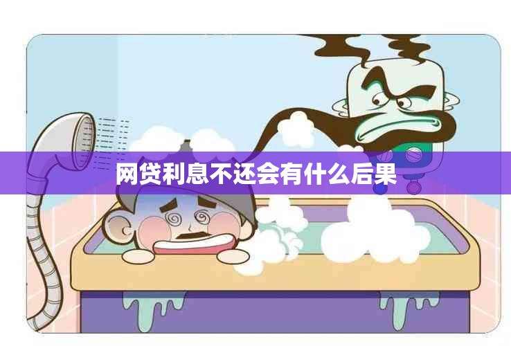 网贷利息不还会有什么后果