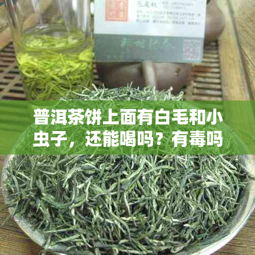 普洱茶饼上面有白毛和小虫子，还能喝吗？有吗？