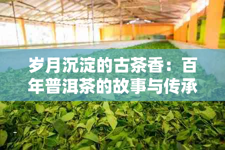 岁月沉淀的古茶香：百年普洱茶的故事与传承