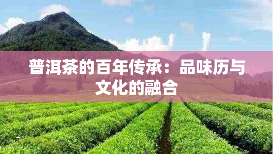 普洱茶的百年传承：品味历与文化的融合