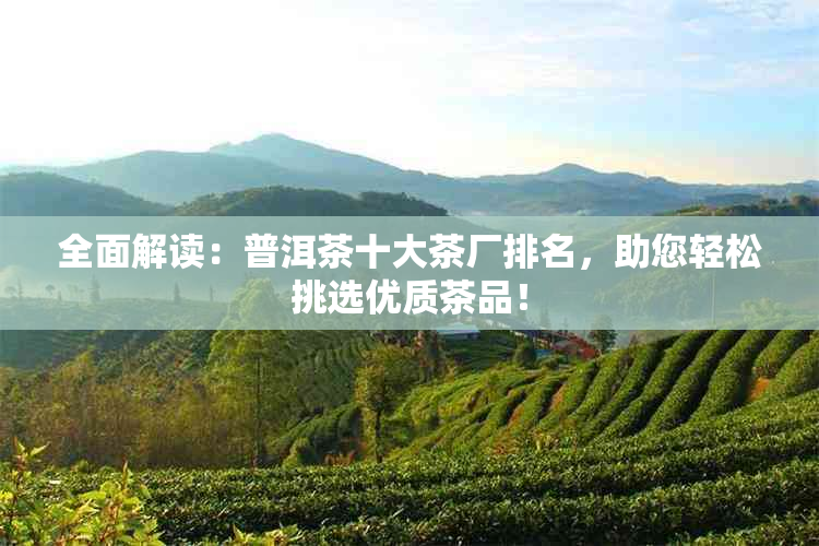 全面解读：普洱茶十大茶厂排名，助您轻松挑选优质茶品！