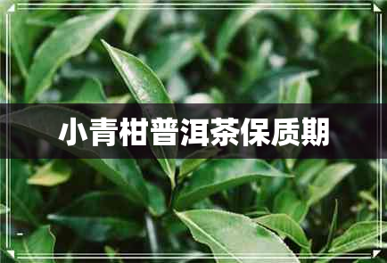 小青柑普洱茶保质期