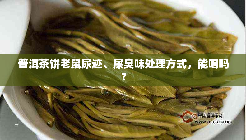 普洱茶饼老鼠尿迹、屎臭味处理方式，能喝吗？