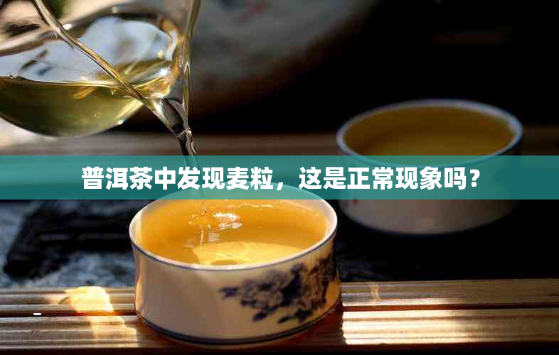 普洱茶中发现麦粒，这是正常现象吗？