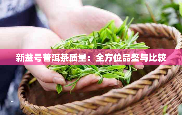 新益号普洱茶质量：全方位品鉴与比较