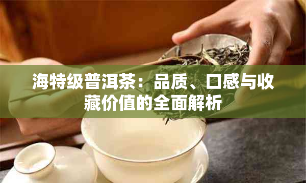 海特级普洱茶：品质、口感与收藏价值的全面解析